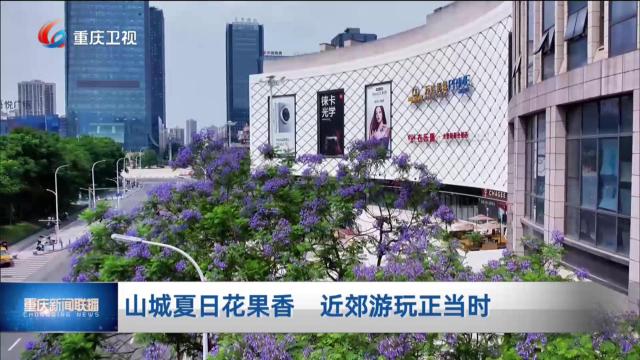 山城夏日花果香 近郊游玩正当时