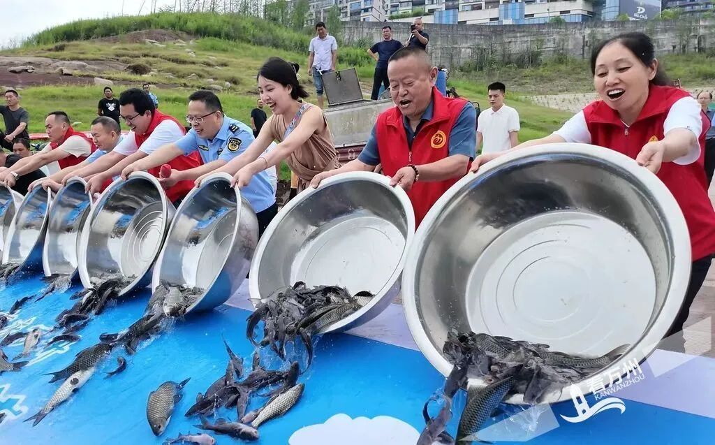 10多万尾鱼苗跃入长江 万州区开展2025年世界环境日暨全国“放鱼日”增殖放流活动
