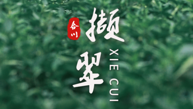 重庆合川：撷翠