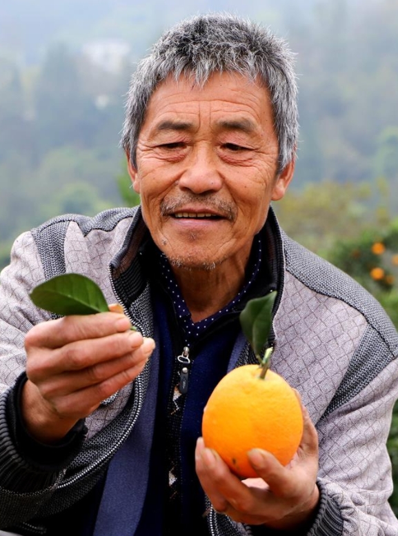 张诗贵 助人为乐 云阳县 2023年第四季度