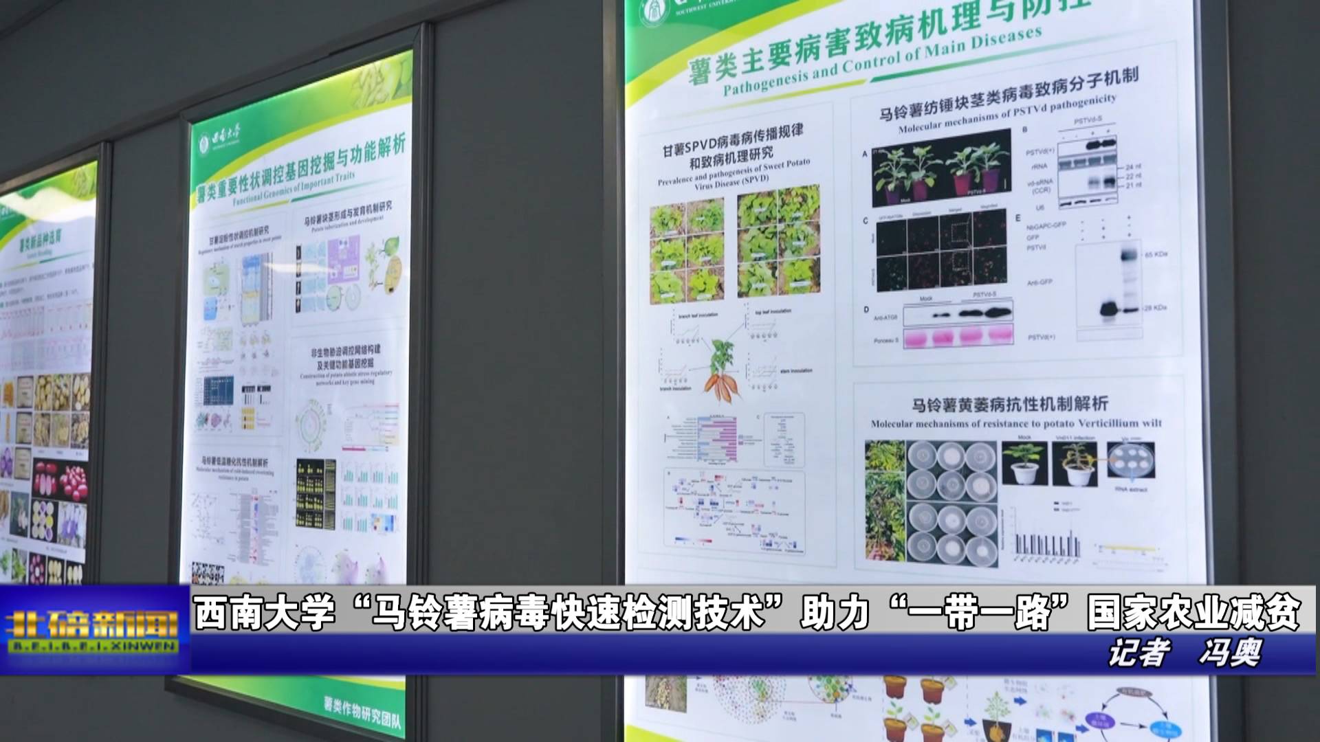 西南大学“马铃薯病毒快速检测技术”助力“一带一路”国家农业减贫