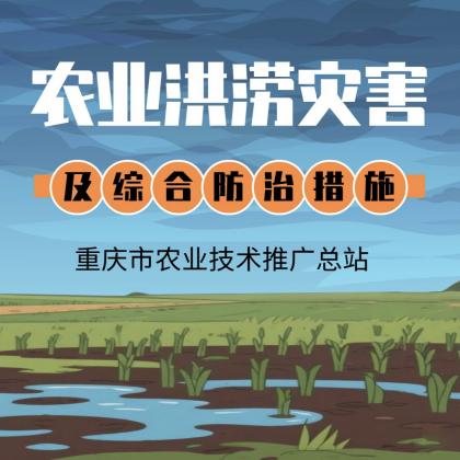 【农技短视频】农业洪涝灾害及综合防治措施