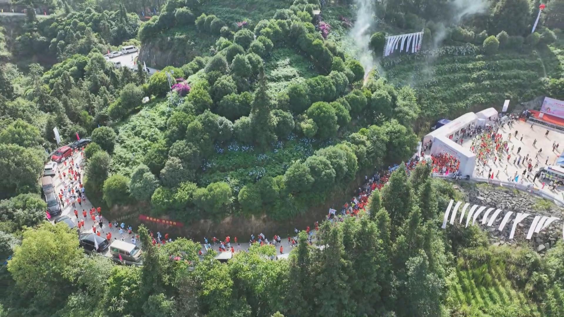 第六届巴南石龙七彩欢乐跑鸣枪起跑 近千名选手用脚步丈量石龙之美	
