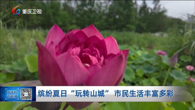 缤纷夏日“玩转山城” 市民生活丰富多彩 
