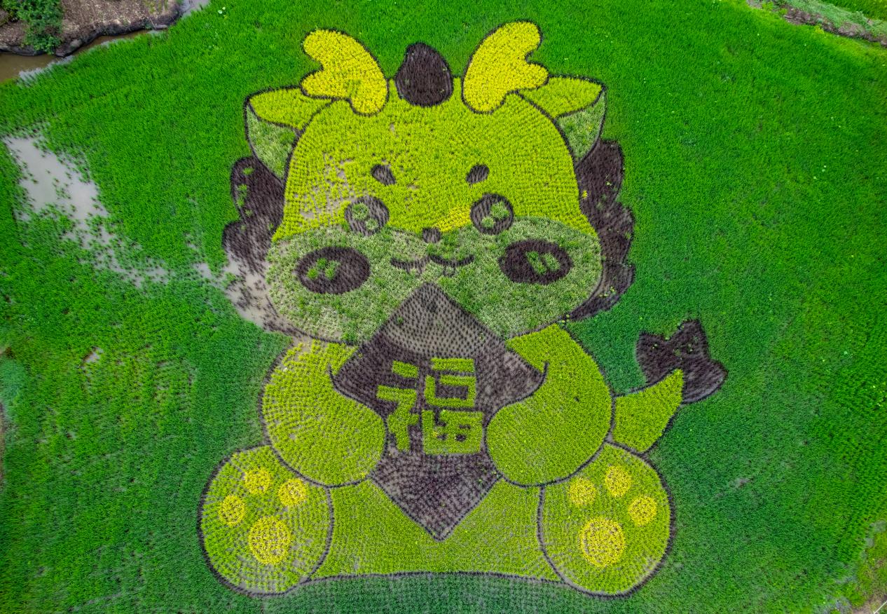圖片3.jpg
