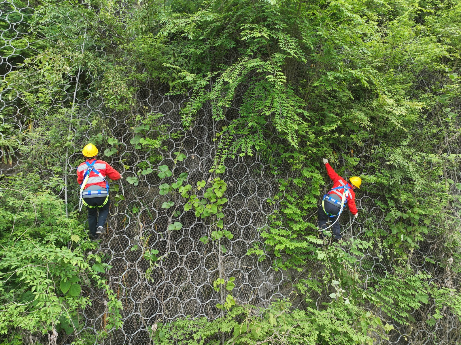 DJI_20250423132433_0007_V.JPG