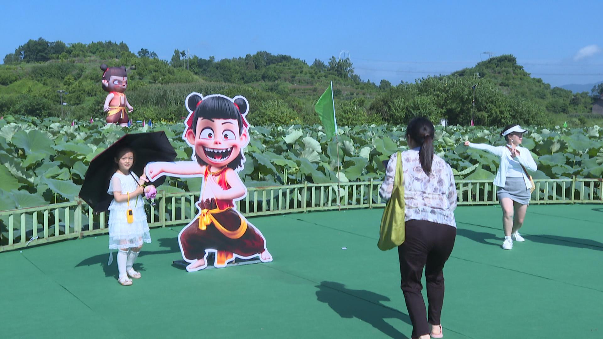 游客在橘乡荷海核心景区赏花游玩。拍摄：彭群英.jpg