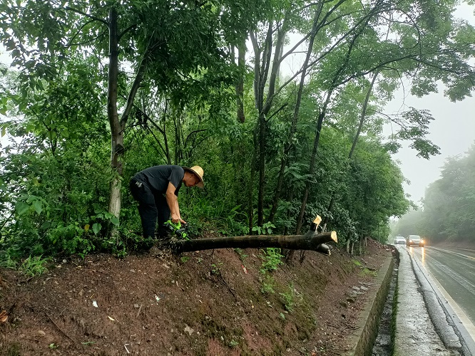 大足：公路人雨中清障保畅 守护平安出行