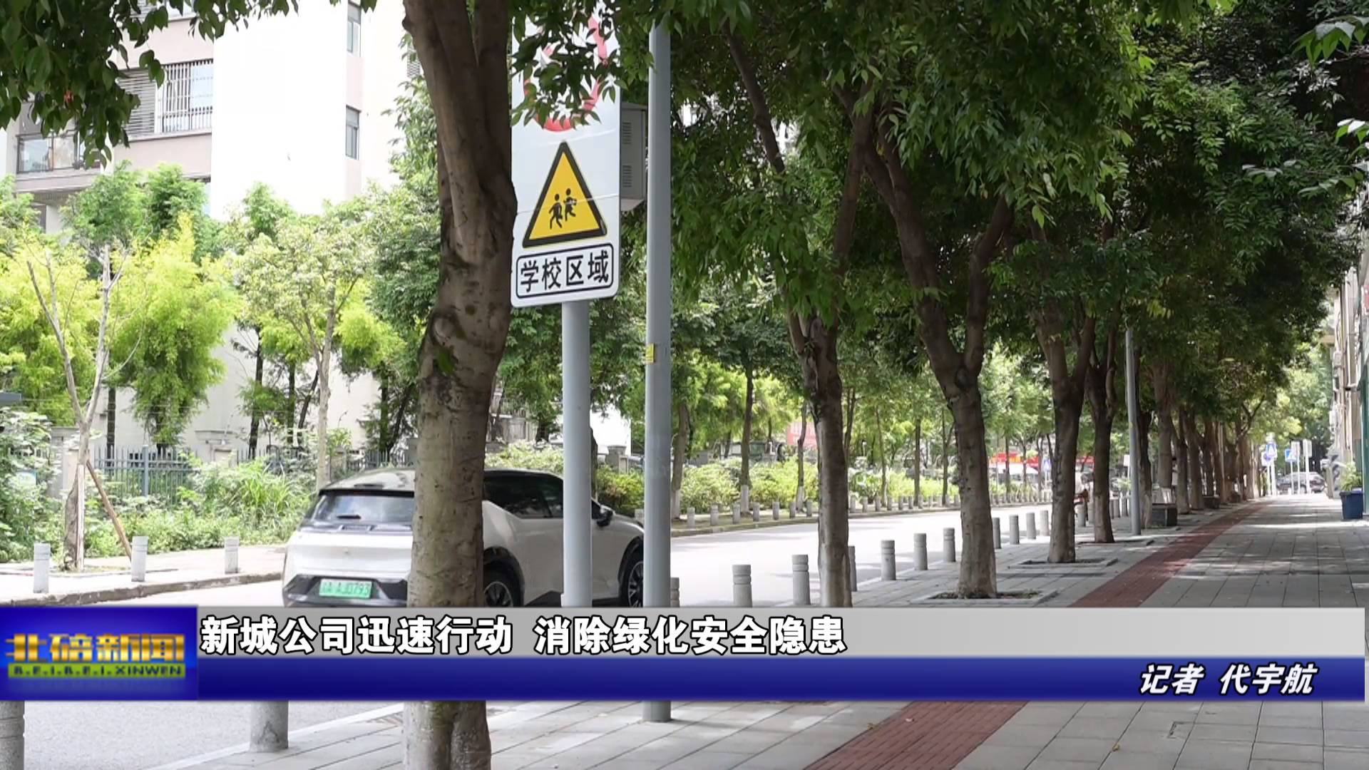 新城公司迅速行动 消除绿化安全隐患