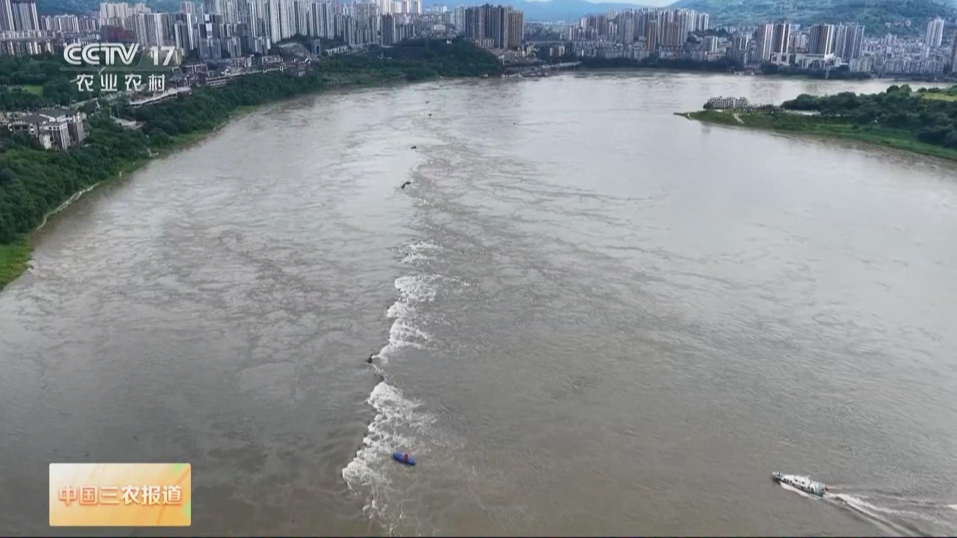 央视聚焦我区入汛以来最大洪峰过境
