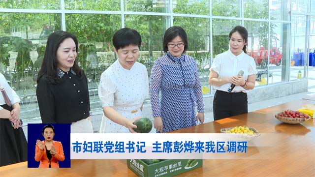 市妇联党组书记、主席彭烨来我区调研