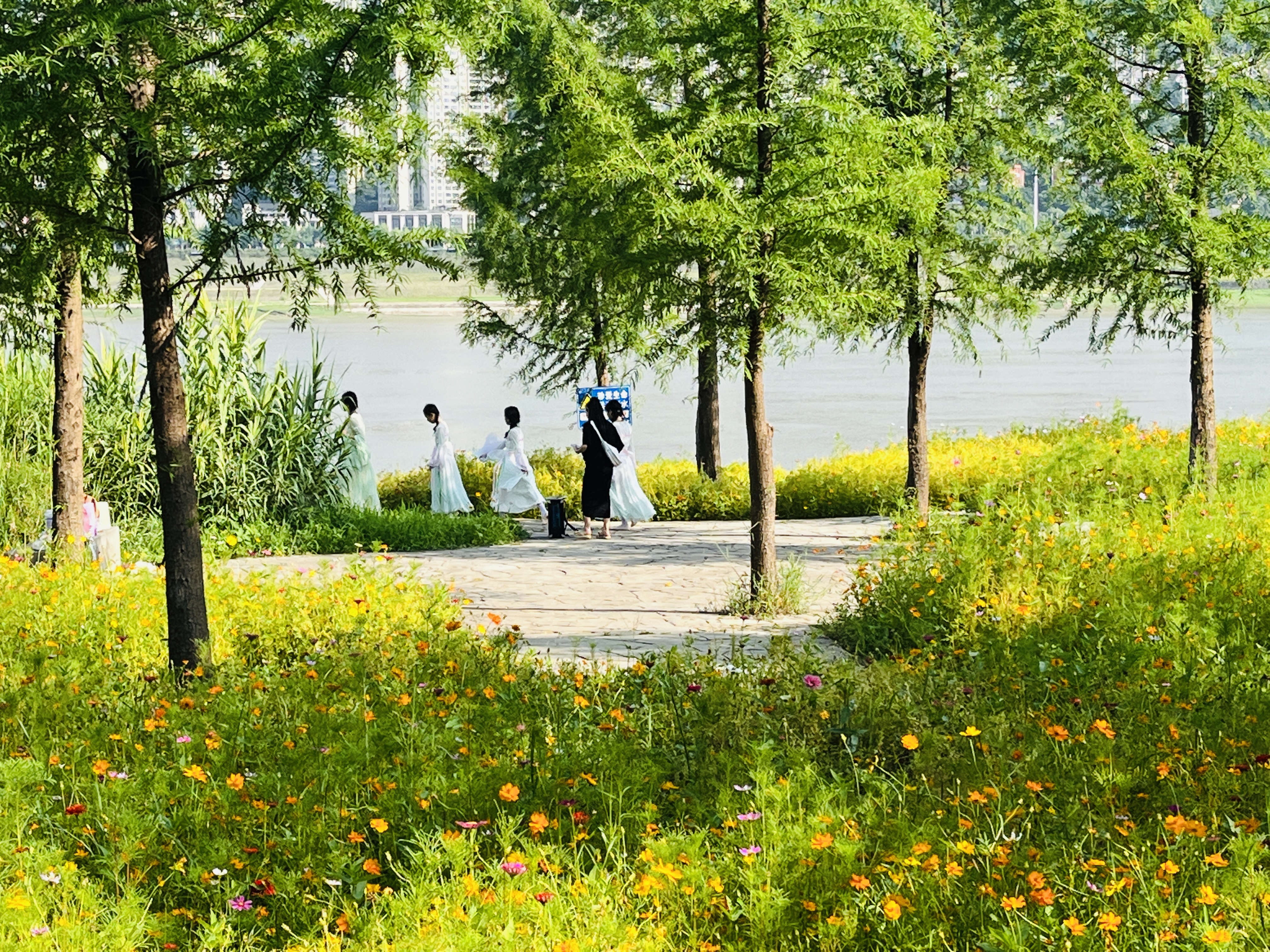 微信圖片_20250704125907.jpg