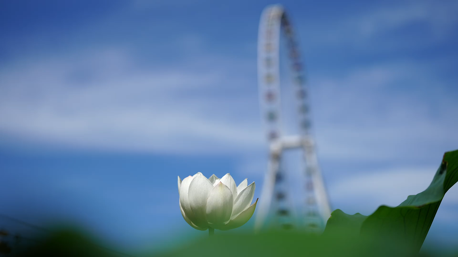 微信圖片_20250705110042.png