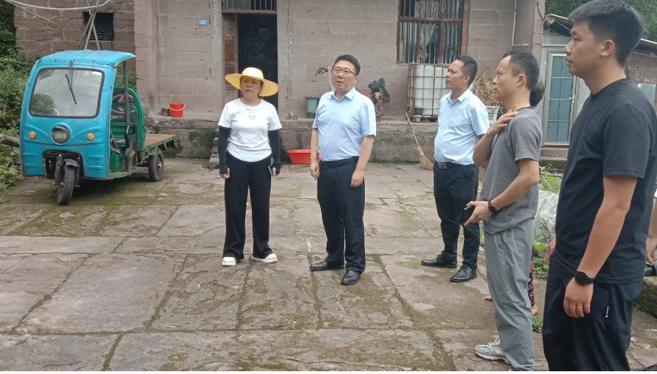 龙石镇人大：代表助力地质灾害隐患排查 筑牢群众生命安全防线