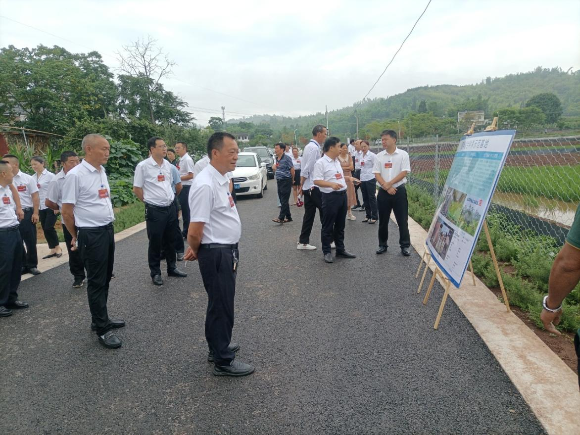 高升镇人大代表调研稻甲综合种养示范基地