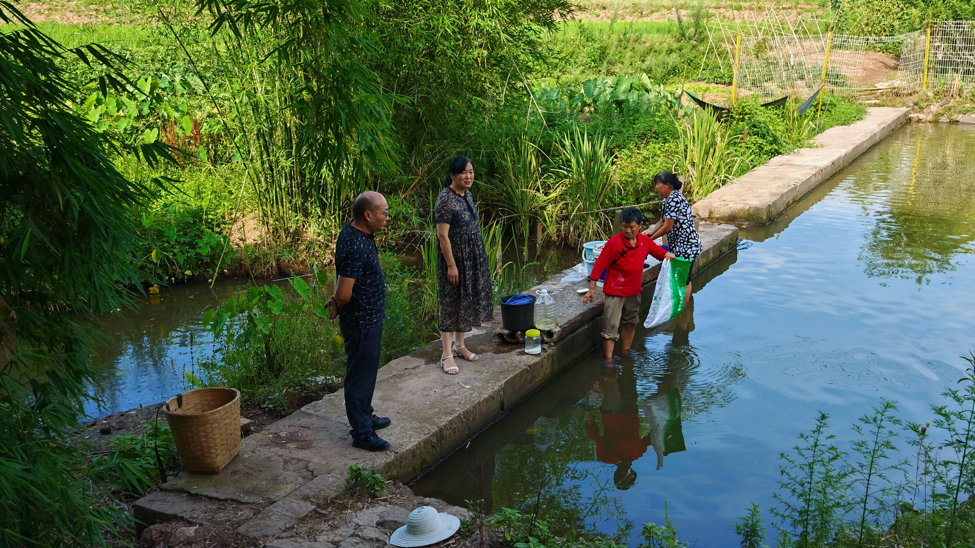 1752222933223.png 1752222933223.png