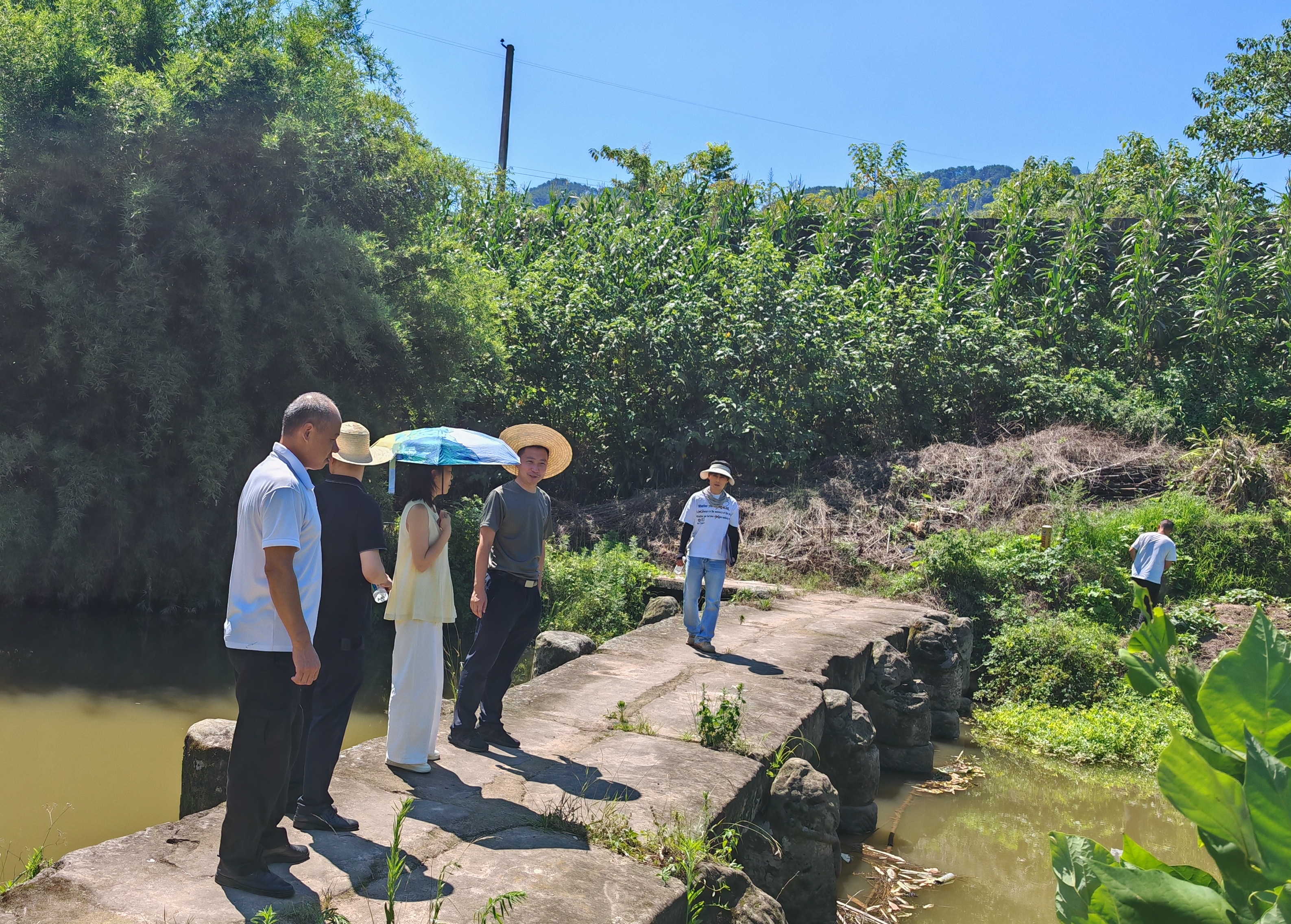 1752222906397.png 1752222906397.png