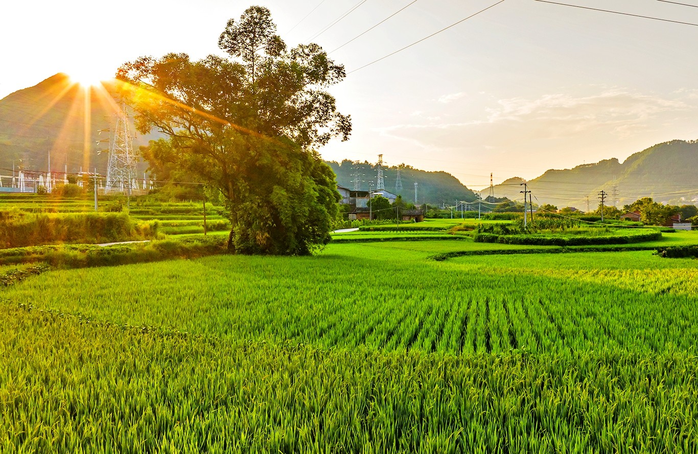 宛若彩色锦绣 余鸿 摄184730_0053_D.jpg