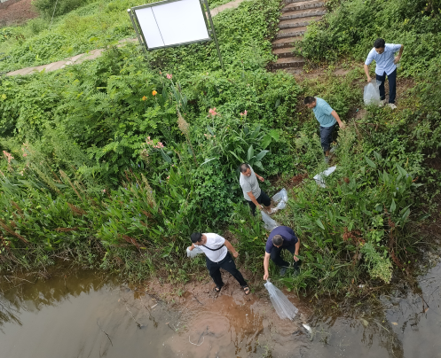 金山镇：开展增殖放流活动 助力水域生态恢复1.png