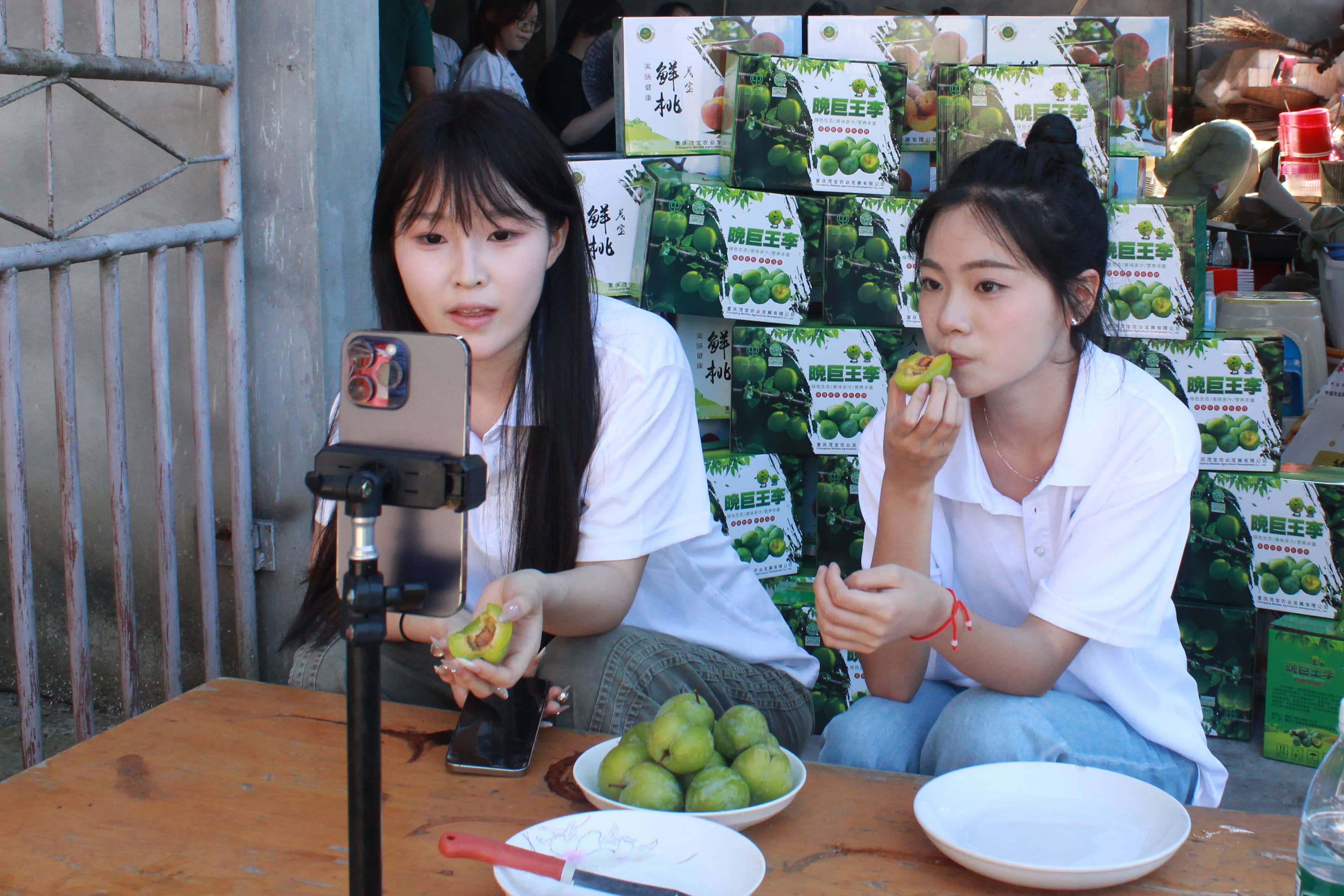 freecompress-图片1.png freecompress-图片1.png