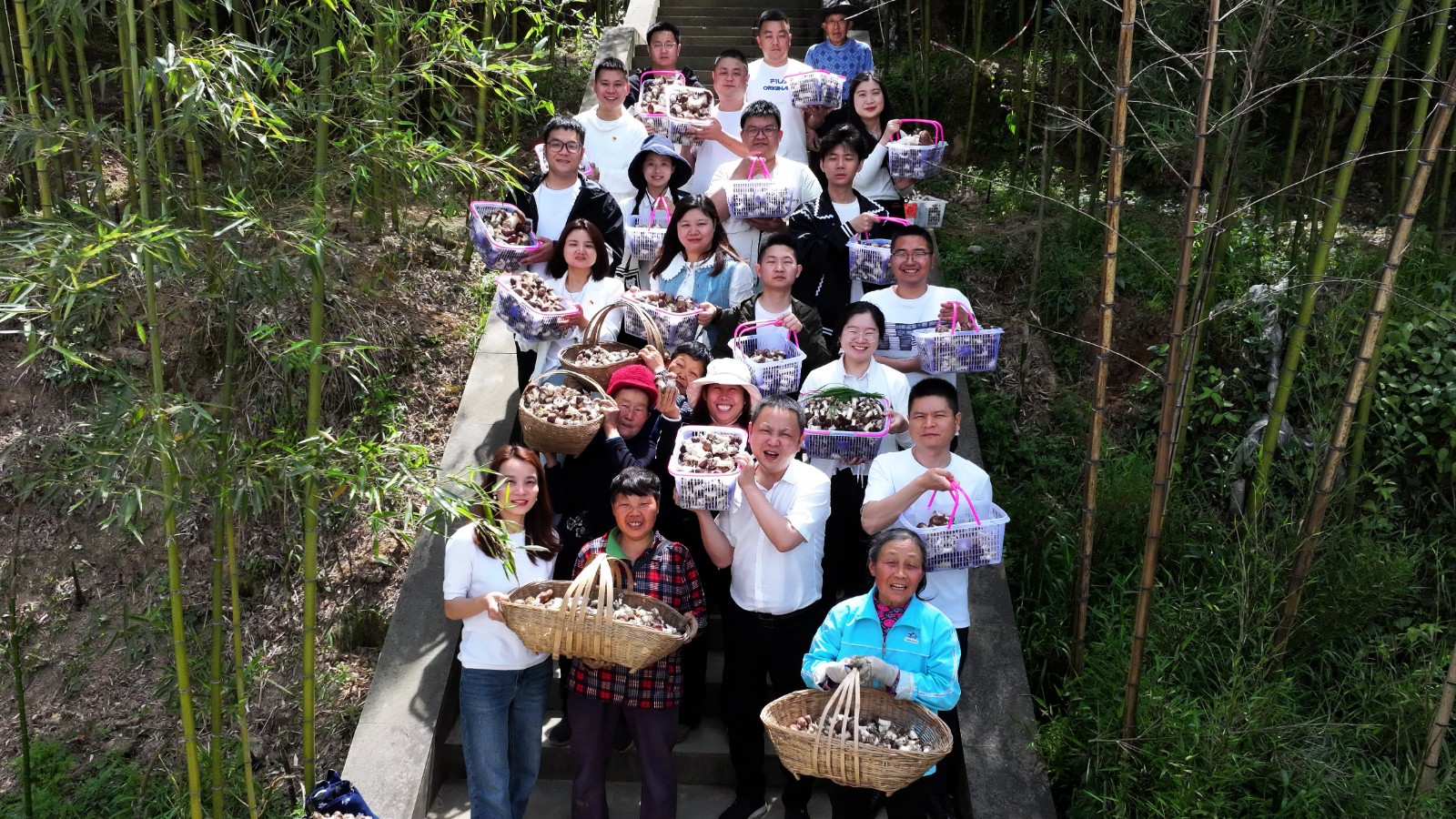 7-忠县白石镇巴岭村大球盖菇喜获丰收。赵军 摄.JPG