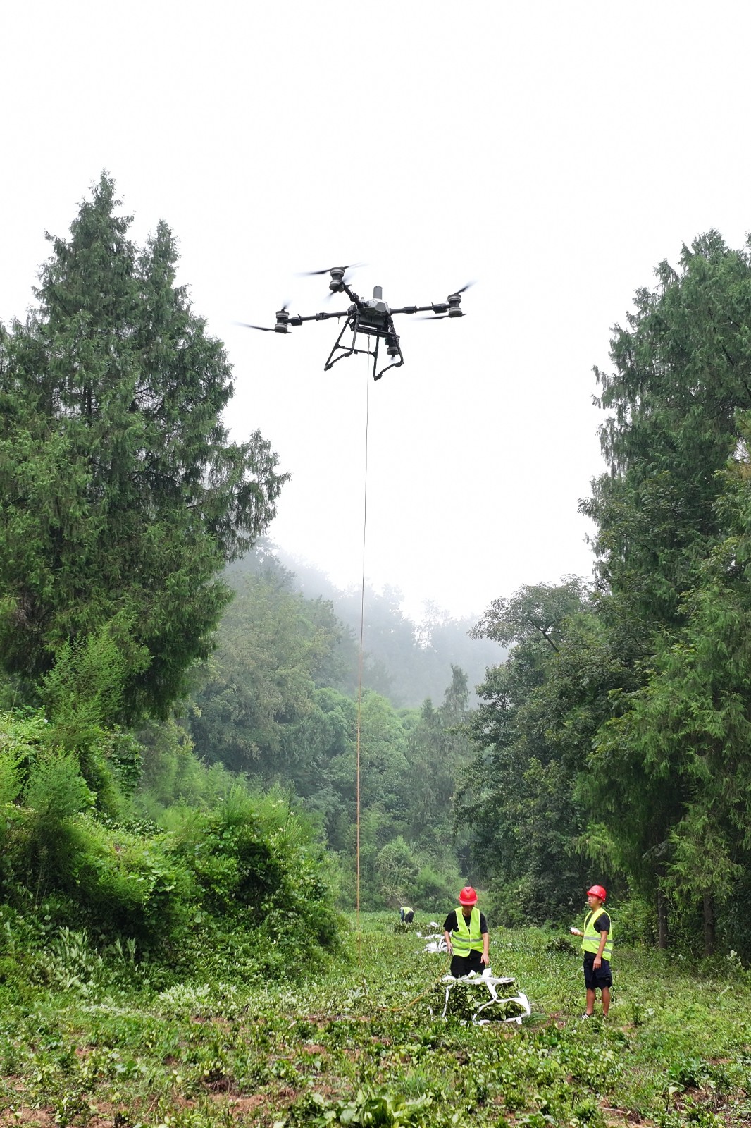 4-忠县官坝镇南板蓝根基地施工无人机吊运南板蓝根。赵军 摄.JPG