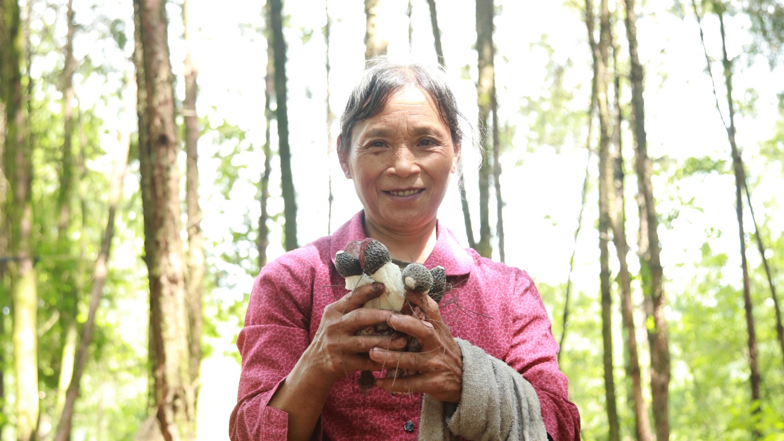 10-忠县白石镇巴岭村菌菇产业示范园竹荪丰收，村民笑开怀。 赵军 摄.JPG
