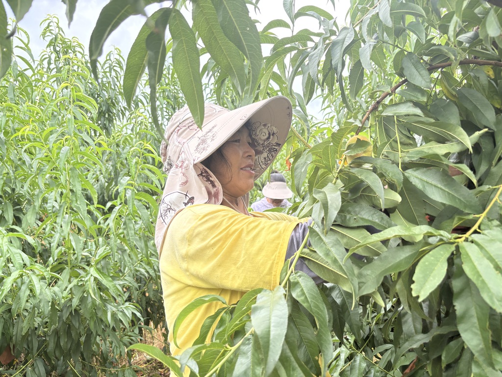 微信图片_20250721171651