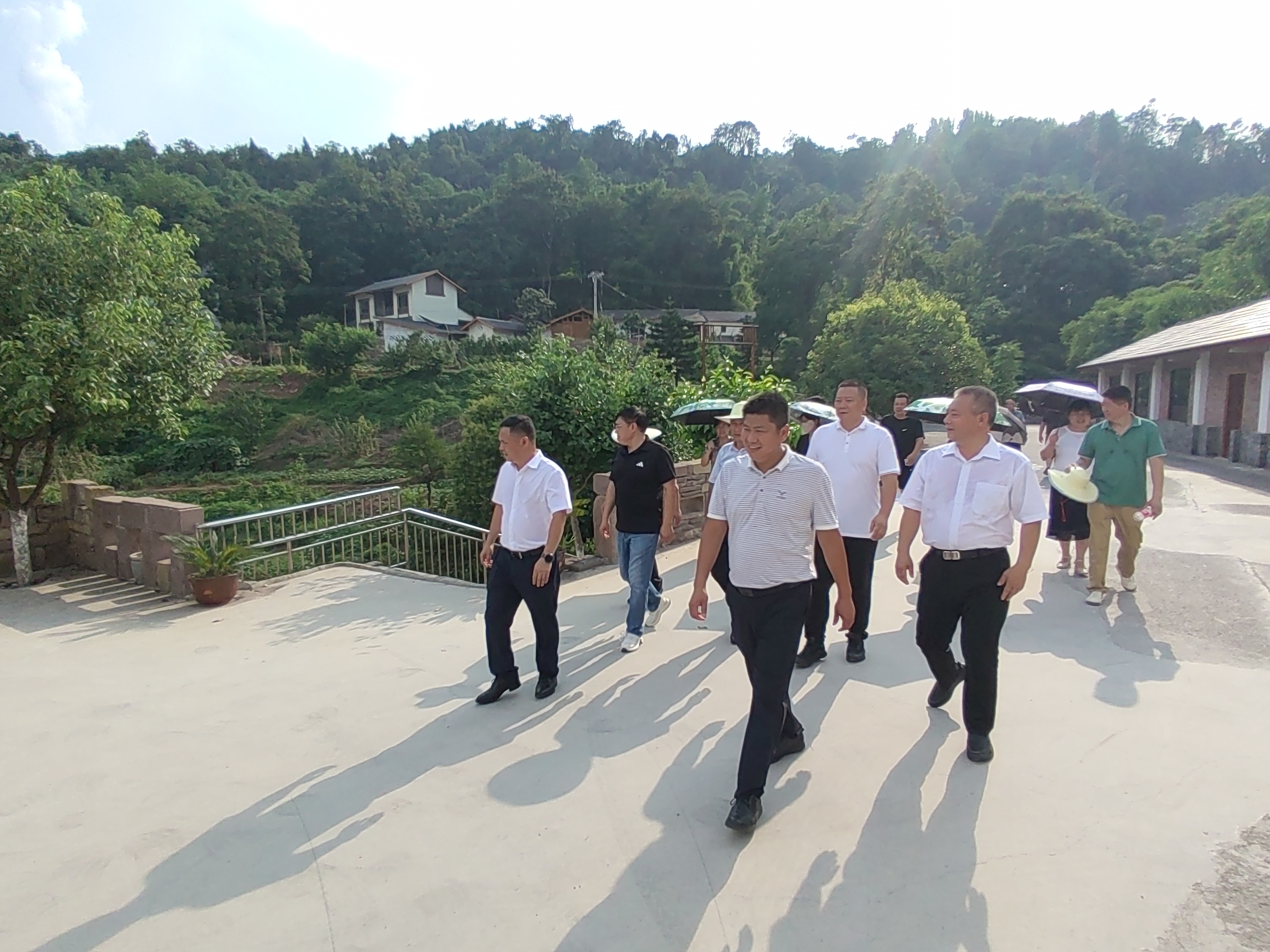 龙岗街道北塔悬岩·巴蜀美丽庭院 (2).jpg