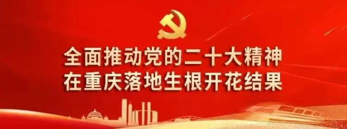 08adb6cc-b158-4959-9523-dcd89565f902