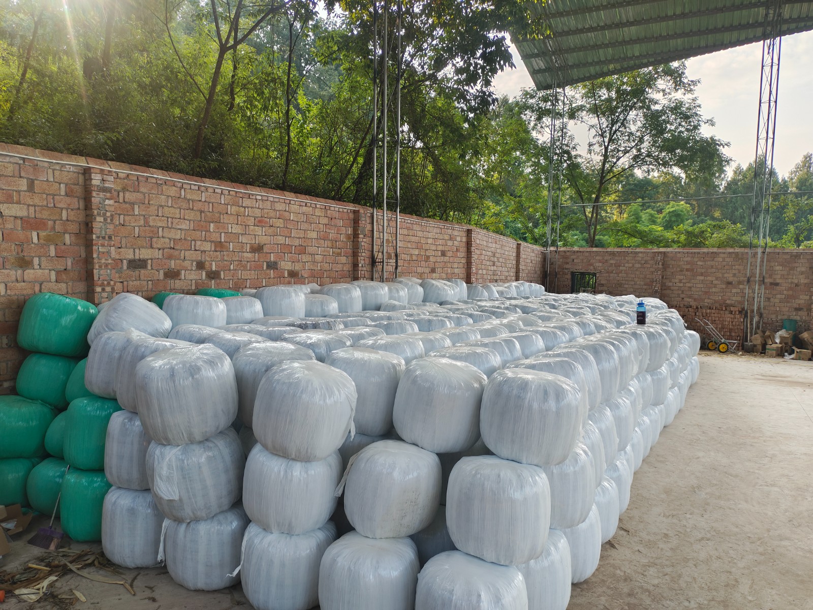 粉碎秸秆加工成饲料打包。记者 李铁 摄.jpg