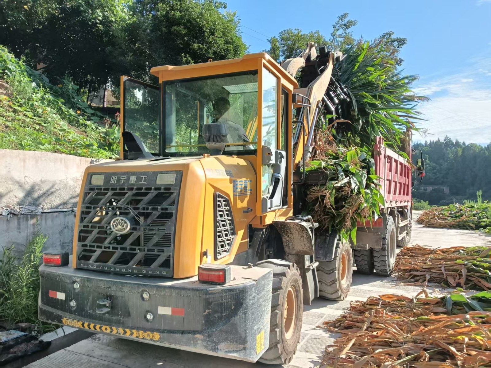 加工企业到田间地头回收秸秆。记者 李铁 摄.jpg