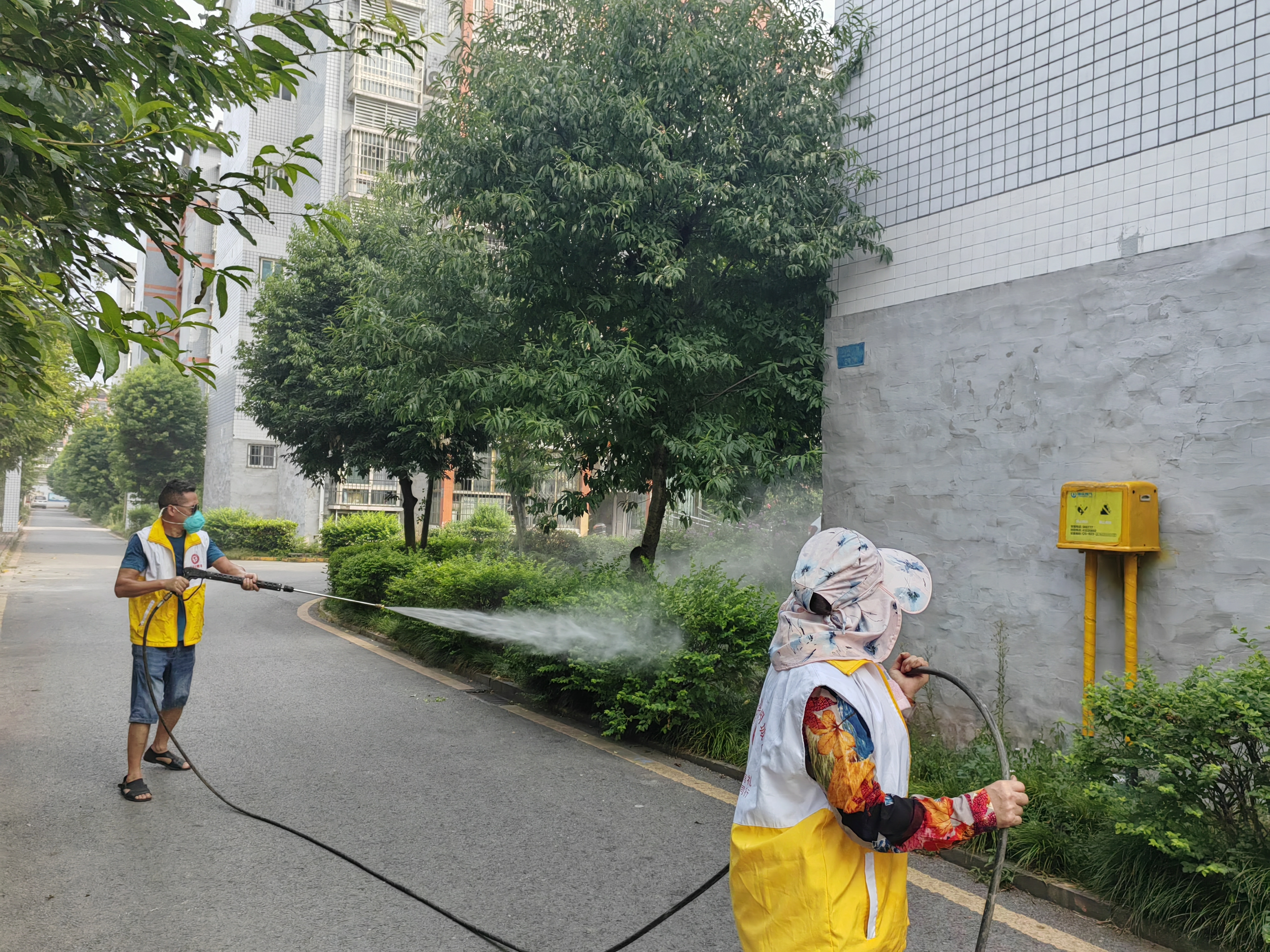 IMG_20250808_090035.jpg IMG_20250808_090035.jpg