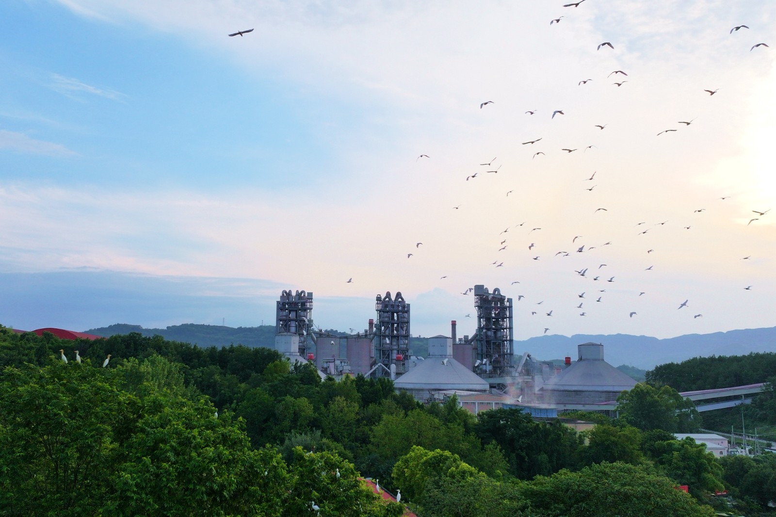 8-重庆海螺水泥厂区鹭鸟翔集,好一幅工业文明与自然生态和谐共生的美好画卷。赵军 摄(DJI_20250720191329_0312_D).JPG