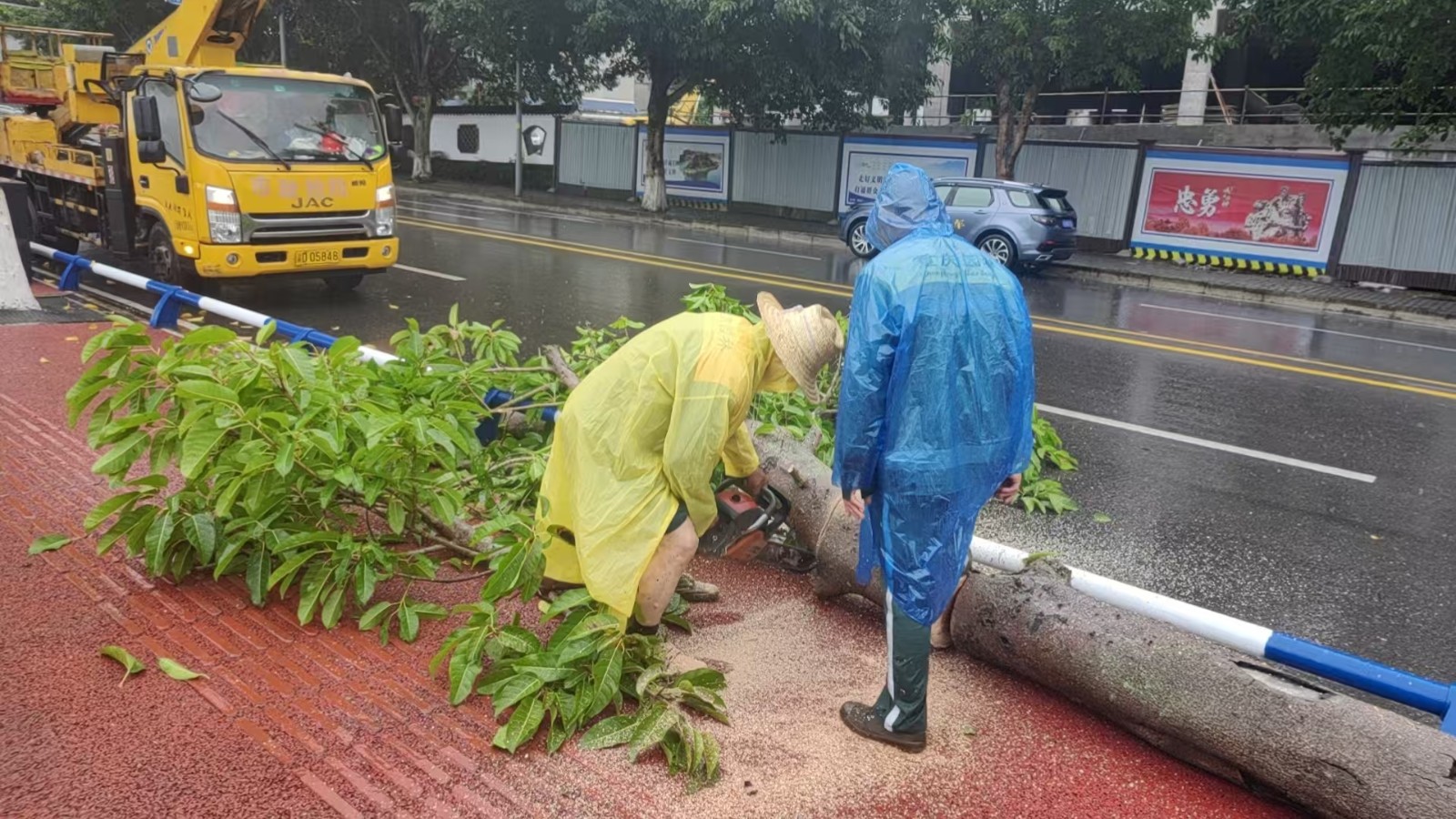 工作人员及时清理倒伏行道树。图源：忠县城市管理执法人员1.jpg