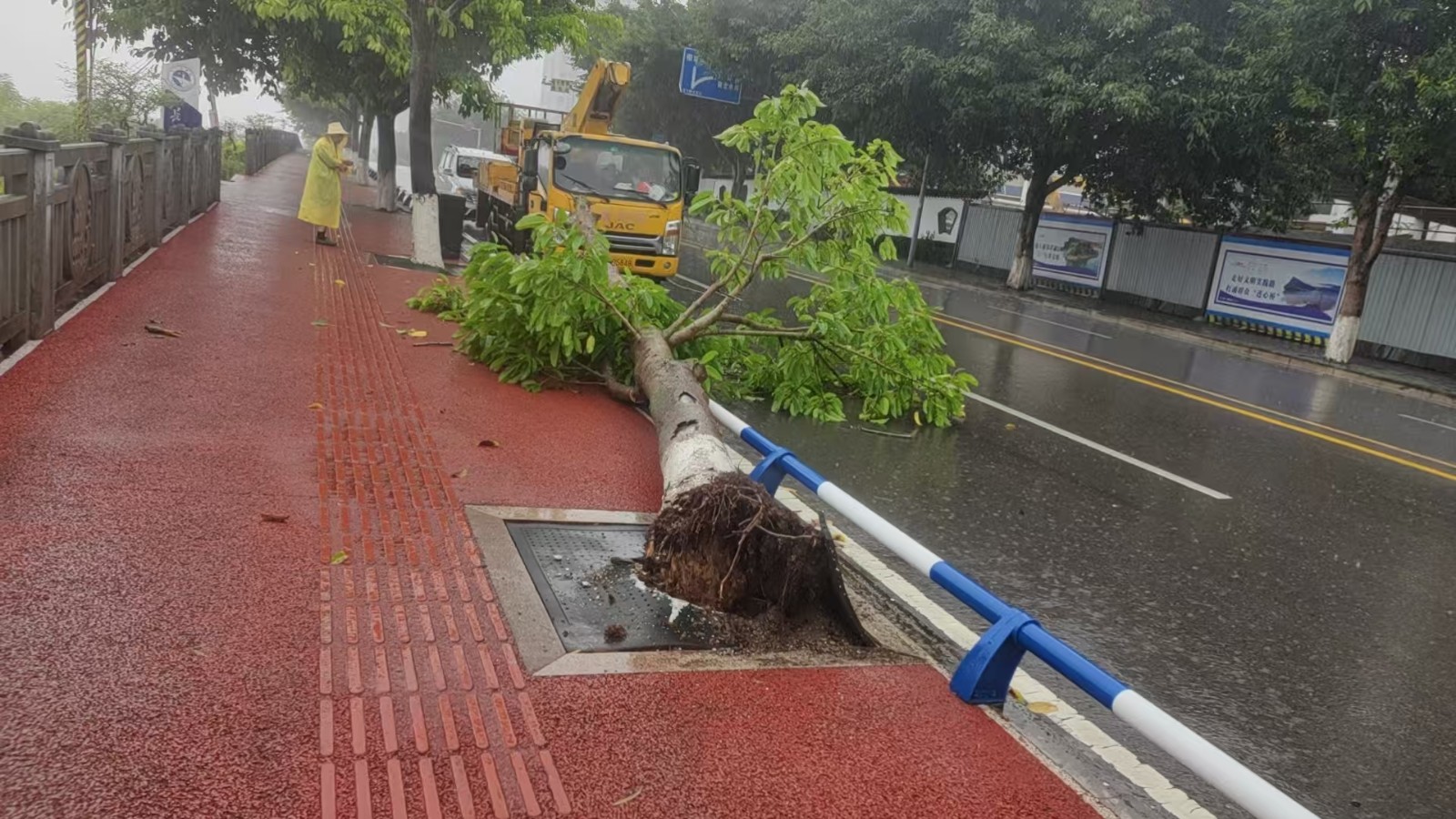 工作人员及时清理倒伏行道树。图源：忠县城市管理执法人员.jpg