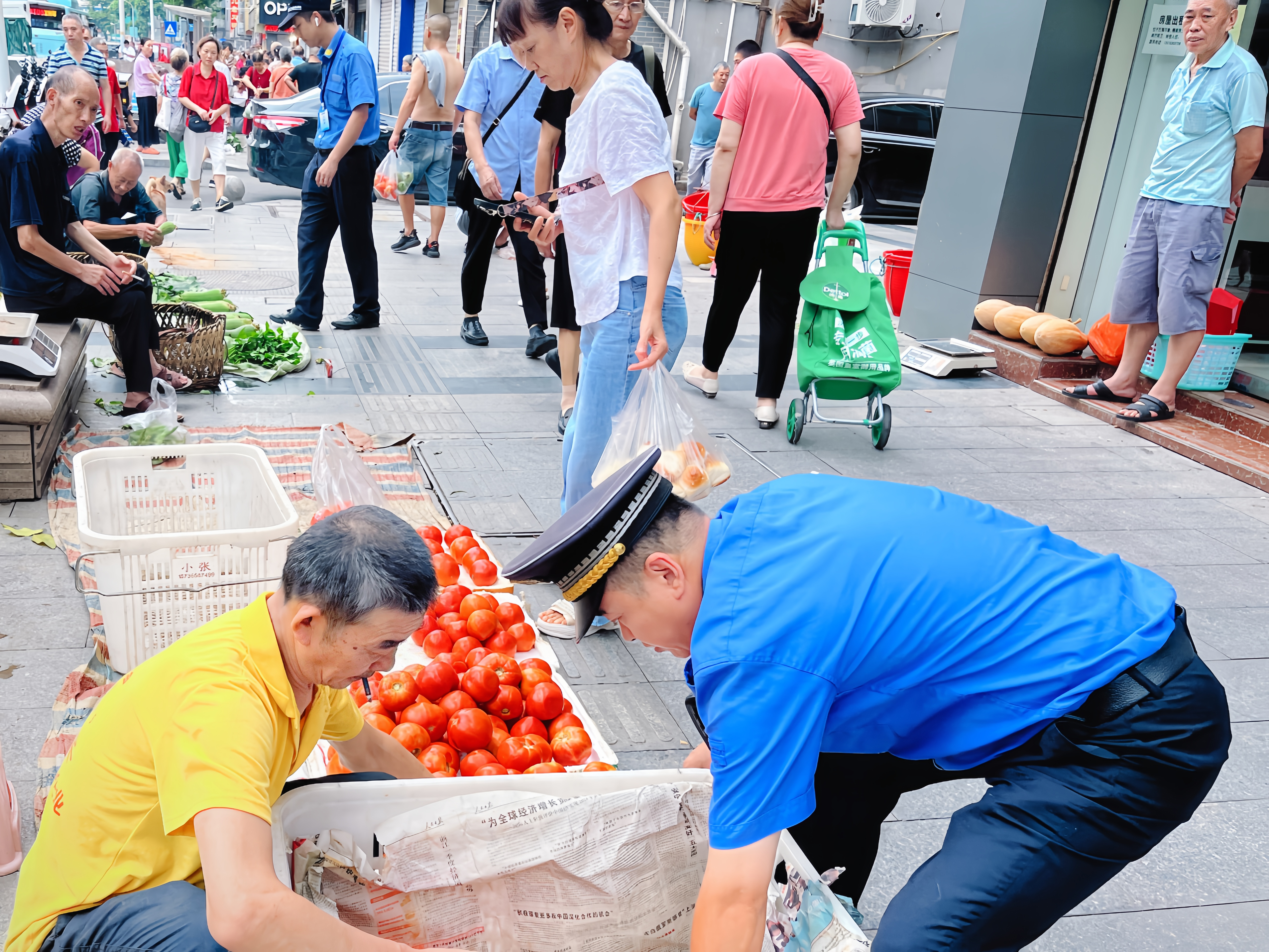 图片1.png 图片1.png