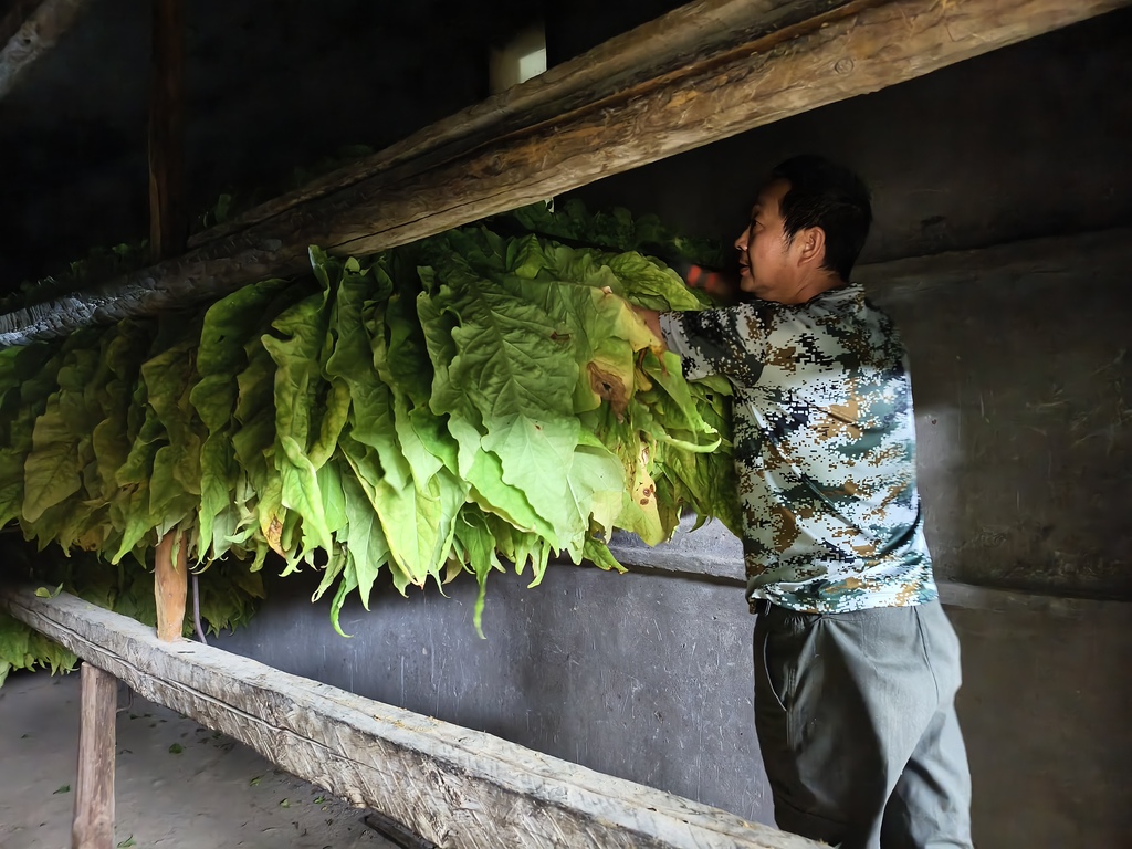 c633590a8f856d3842b794c482358c2