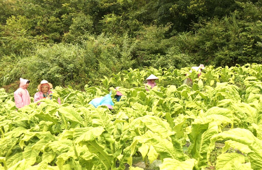 微信截图_20250821150853