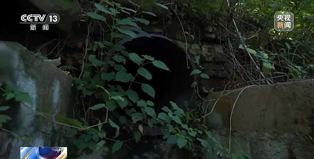 活力中国调研行丨 守好长江上游每一滴水 重庆构建治水“神经网络”