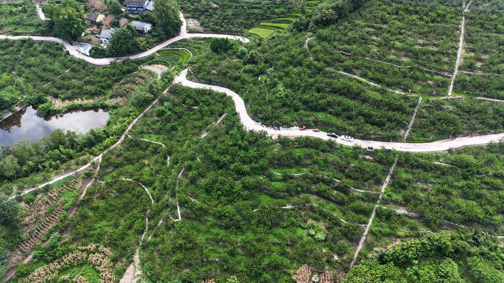 DJI_20250821104007_0005_D