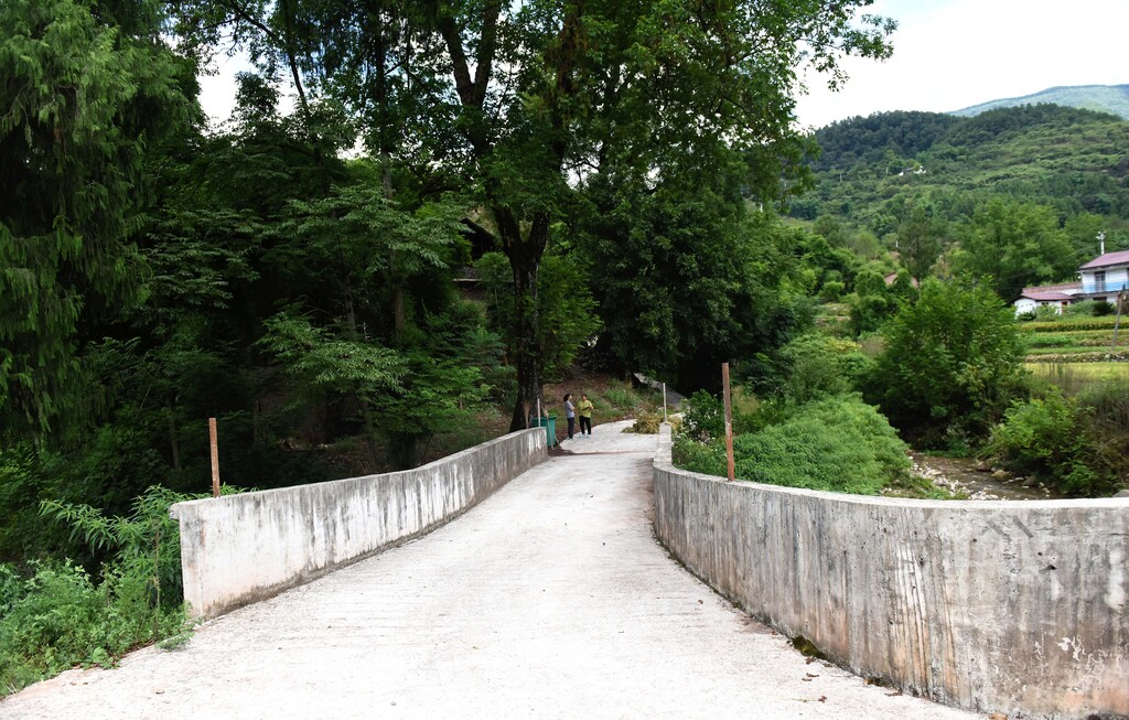 谭文宜组织家人捐资出力修建的“爱心桥” (2)