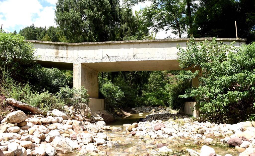 谭文宜组织家人捐资出力修建的“爱心桥” (3)