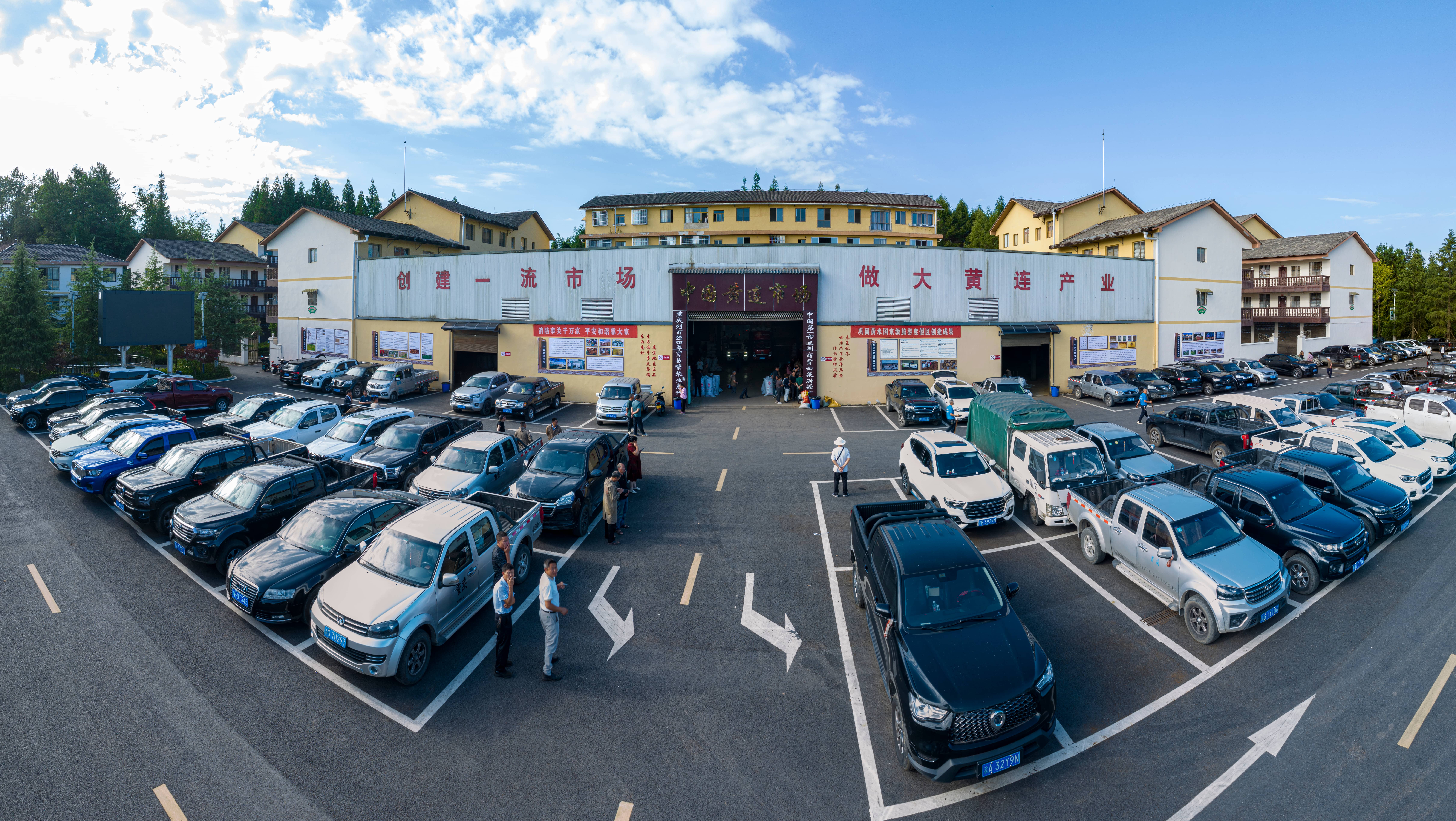 中国黄连市场   马培钧(1).jpg