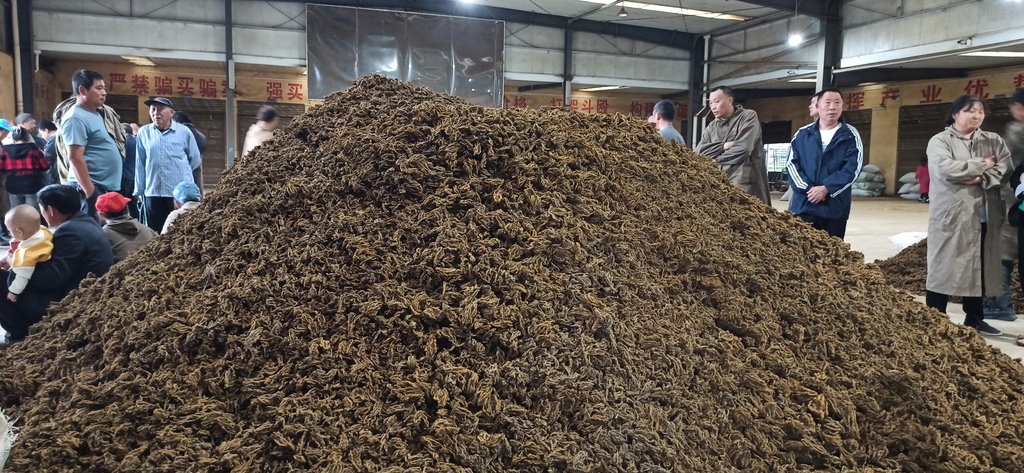 微信图片_20250825112236