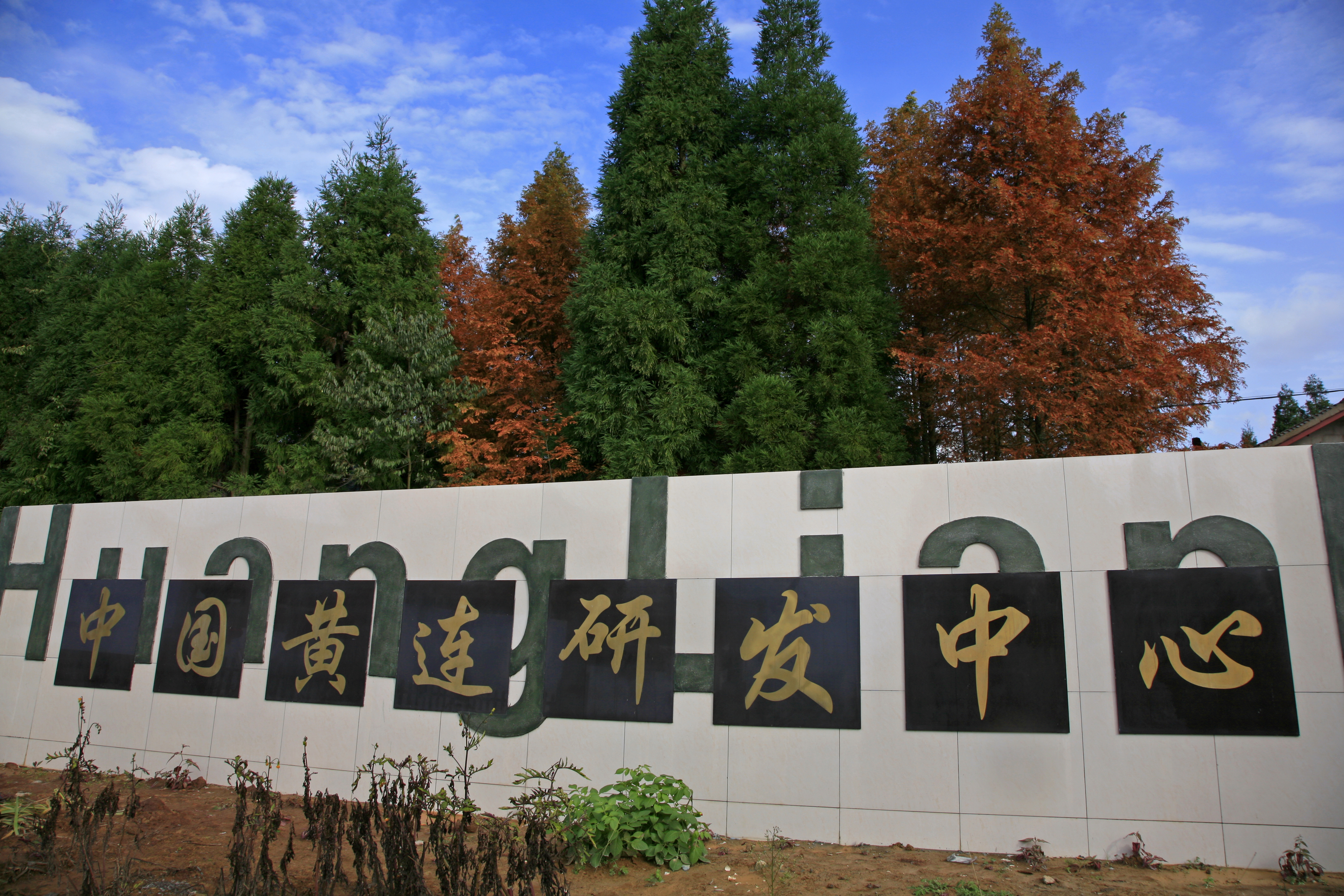 黄连研发中心.jpg