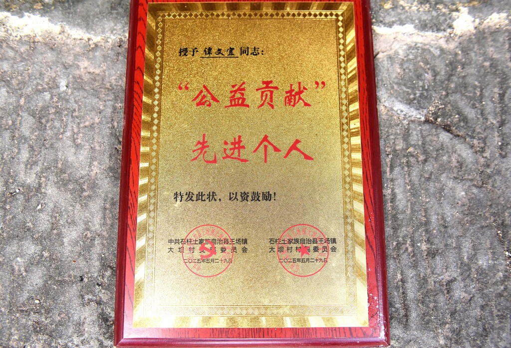 谭文宜获得的奖牌