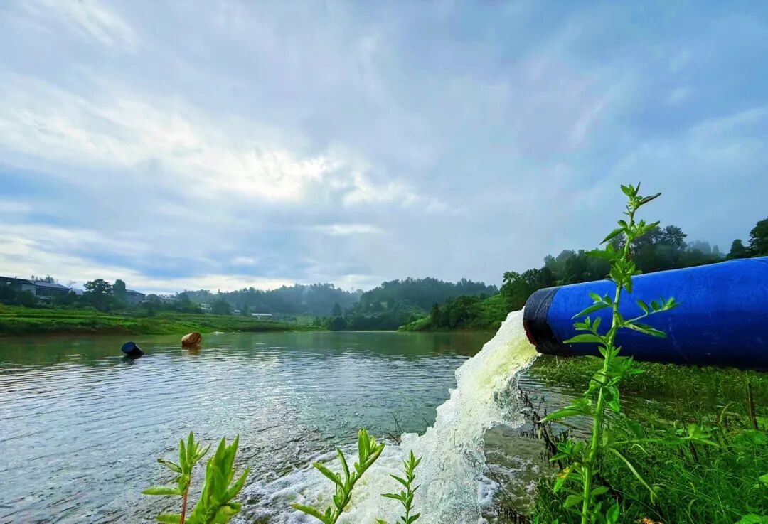 20250818（成蓉）郭扶镇新民水库正(4537445)-20250829112830.jpg