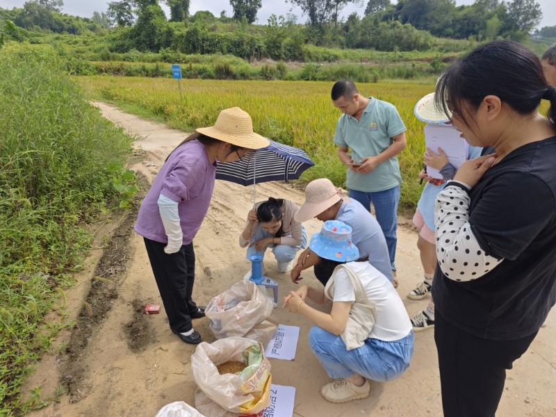 专家组开展测评。 拍摄:吴建华1.jpg