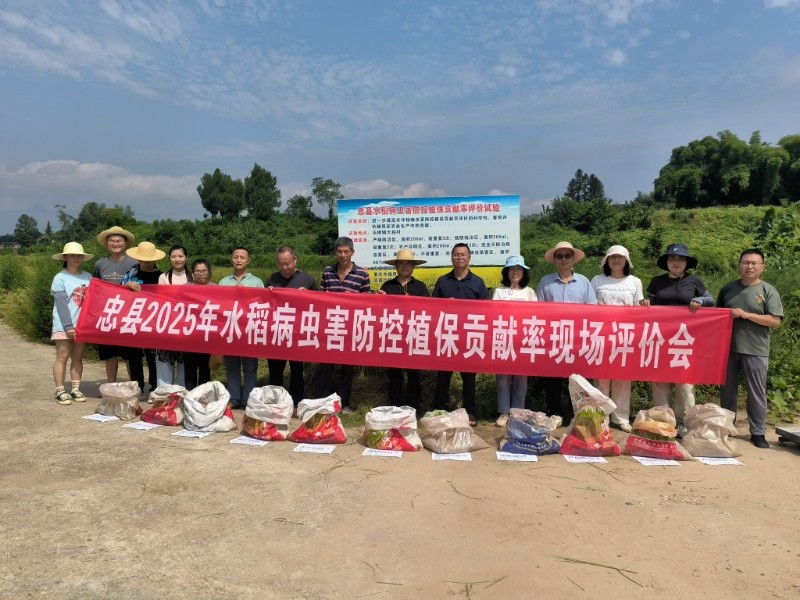 专家组开展测评。 拍摄:吴建华2.jpg